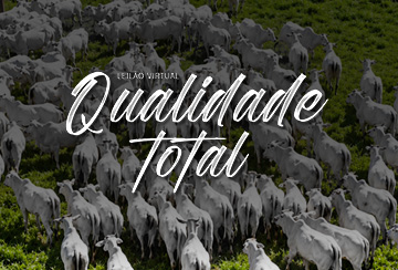 LEILÃO VIRTUAL QUALIDADE TOTAL